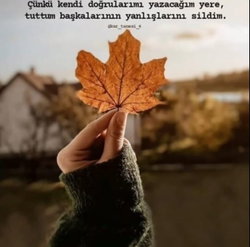 Simgebilge