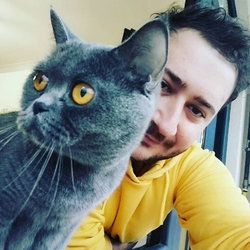 Anıl