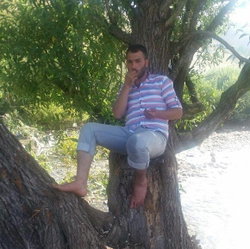 Murat