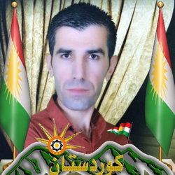 Shrzad