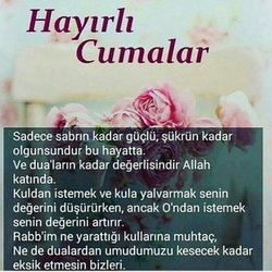 Hamiyet