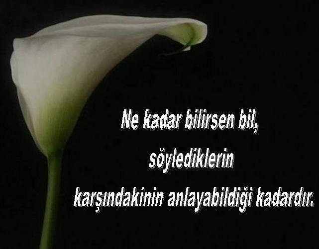 NeYse