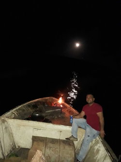 Sedat