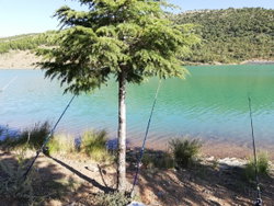 Yaşar