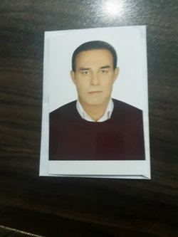 Halit