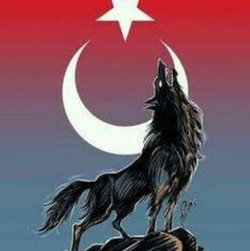 Hasan