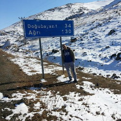 Turgut