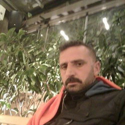 Ali