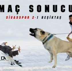 Soner