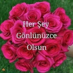 Demet