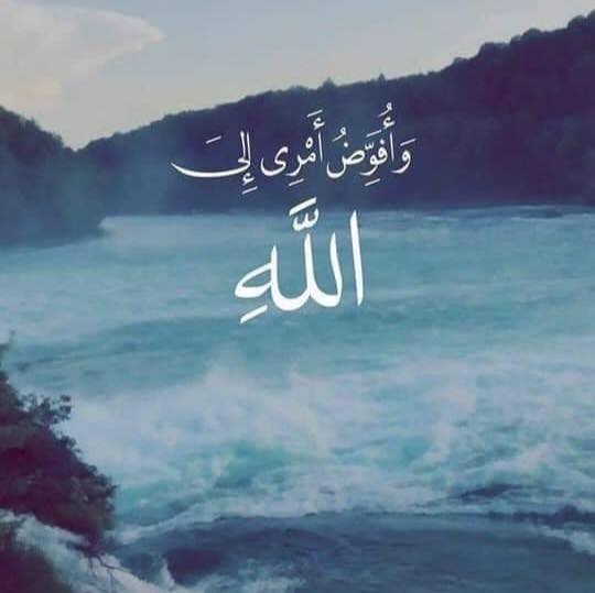 Mohamed