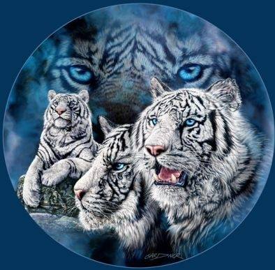 Hazal
