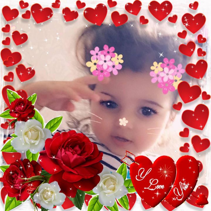 Sanie