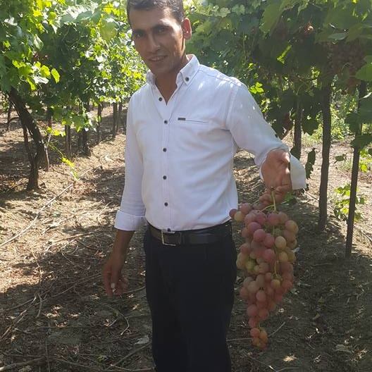 Mustafa
