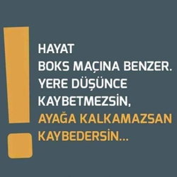 Aysegul