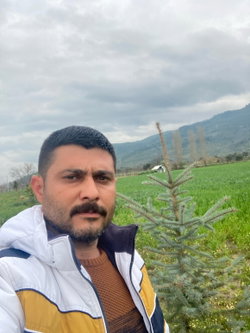 Mürşit