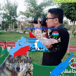 Jamshid