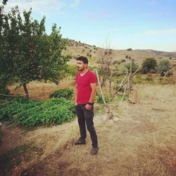 Haydar