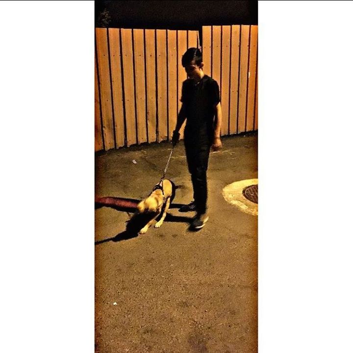 Alper