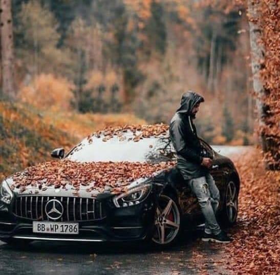 Sunny