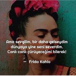 Buse