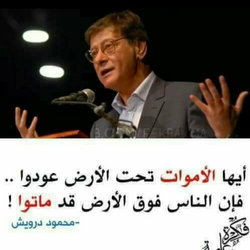 أبو