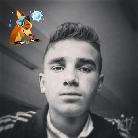 Tayyip