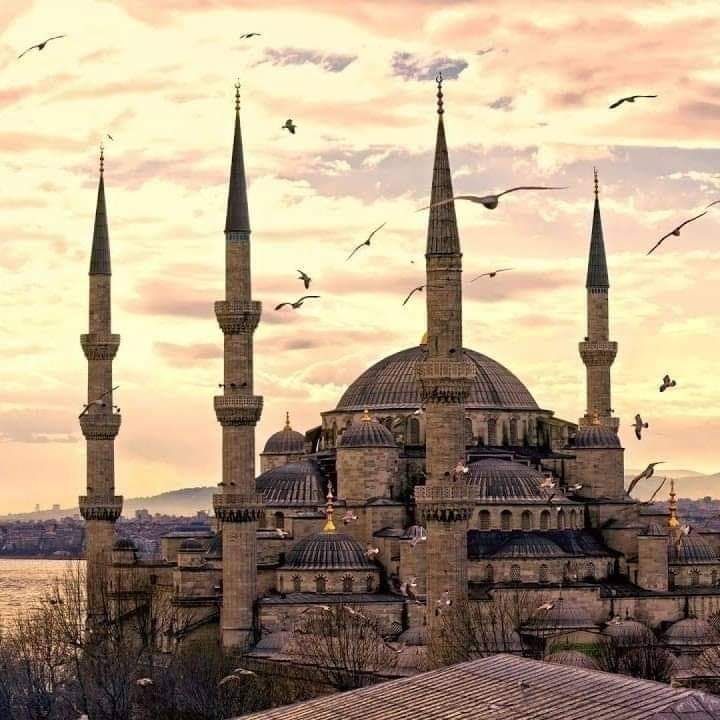 ماهر
