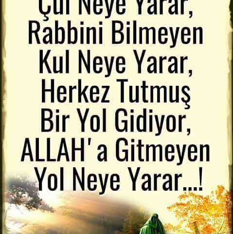 Yaşar