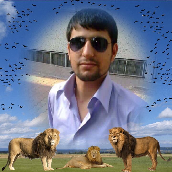 Orhan
