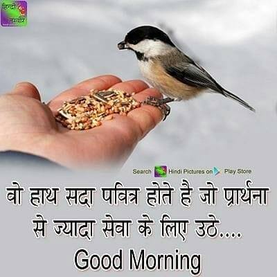 Ranjeet