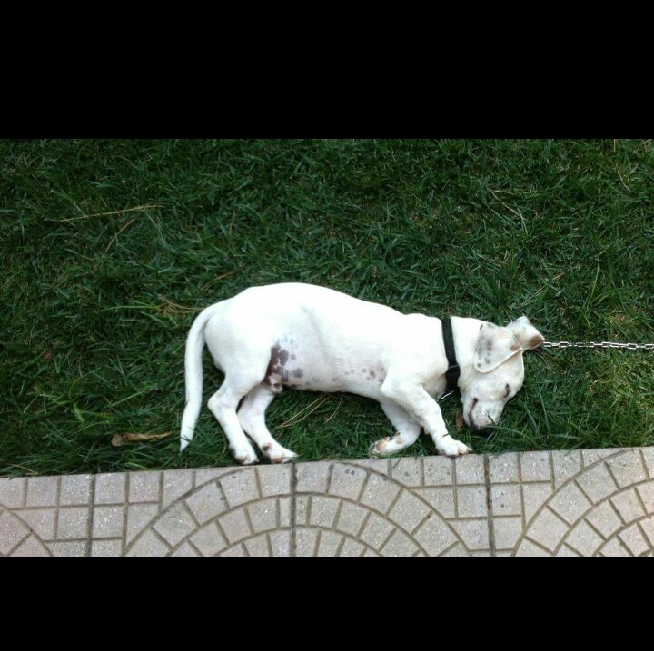 Derin