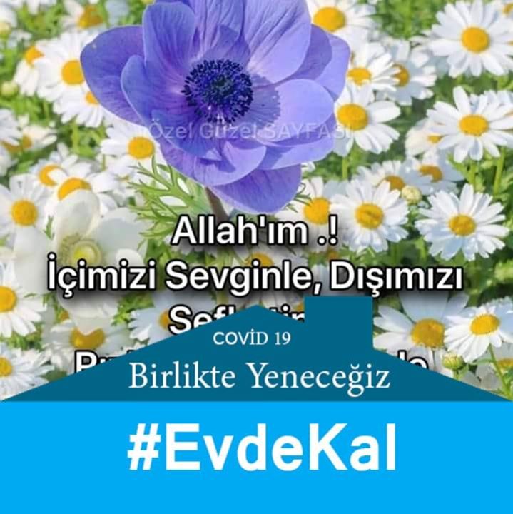 Cevat