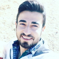 Şahin