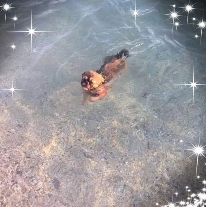 Mine