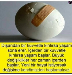 Nergis