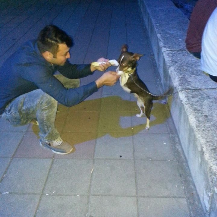 Mustafa