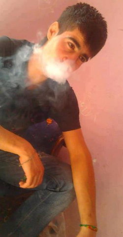 Cesim