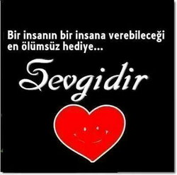 Sezgin