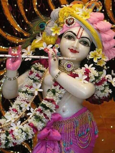 Rohit