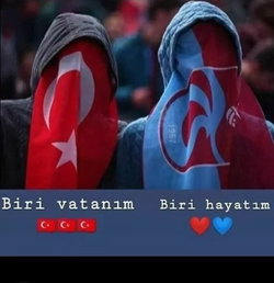 Maviş
