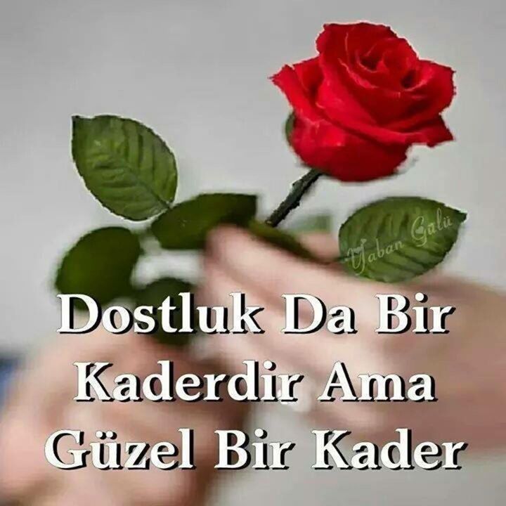 Huzur