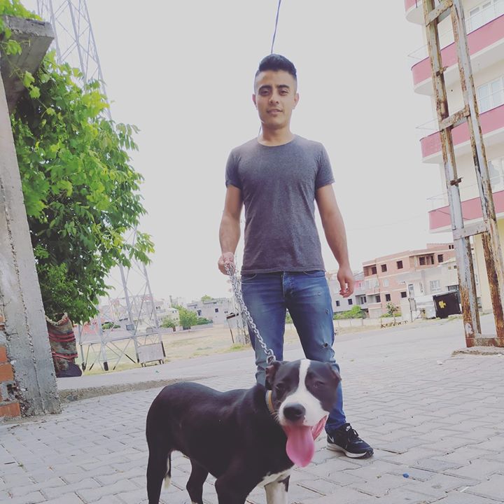 Harun
