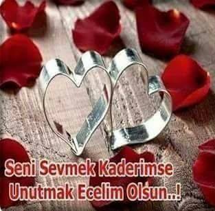 Sibel