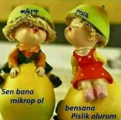 Didem