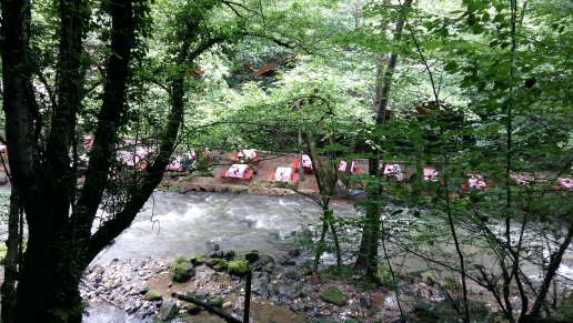 Sevgi