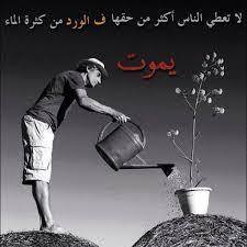 علي
