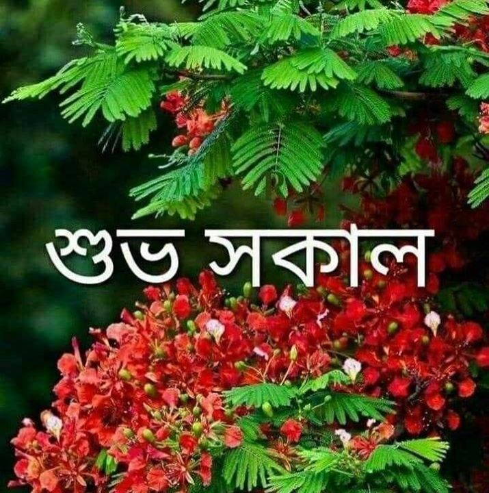 Debasish
