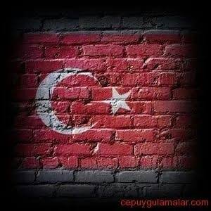 Hamit