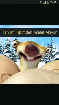 Nazan